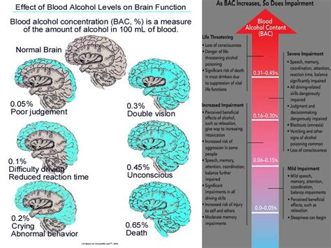Both types can cause symptoms including slurred speech. . 6 months sober brain changes